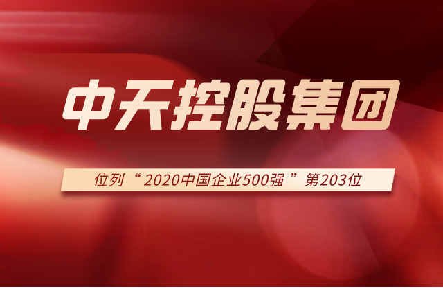 Ebpay集团列2020中国企业500强第203位！